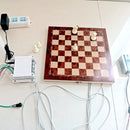 Chess pieces rigger EM lock