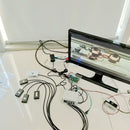 solve puzzles to escape from secret chamber